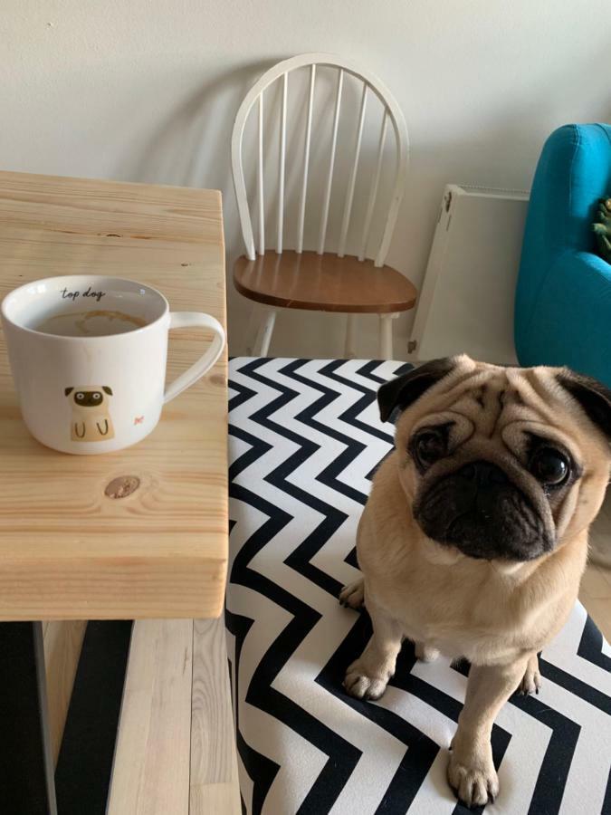 Cute Pug Guest Room コペンハーゲン エクステリア 写真