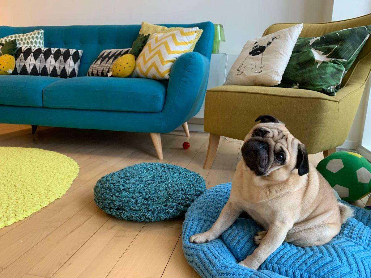 Cute Pug Guest Room コペンハーゲン エクステリア 写真